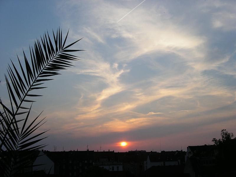 heaven can wait 17.jpg